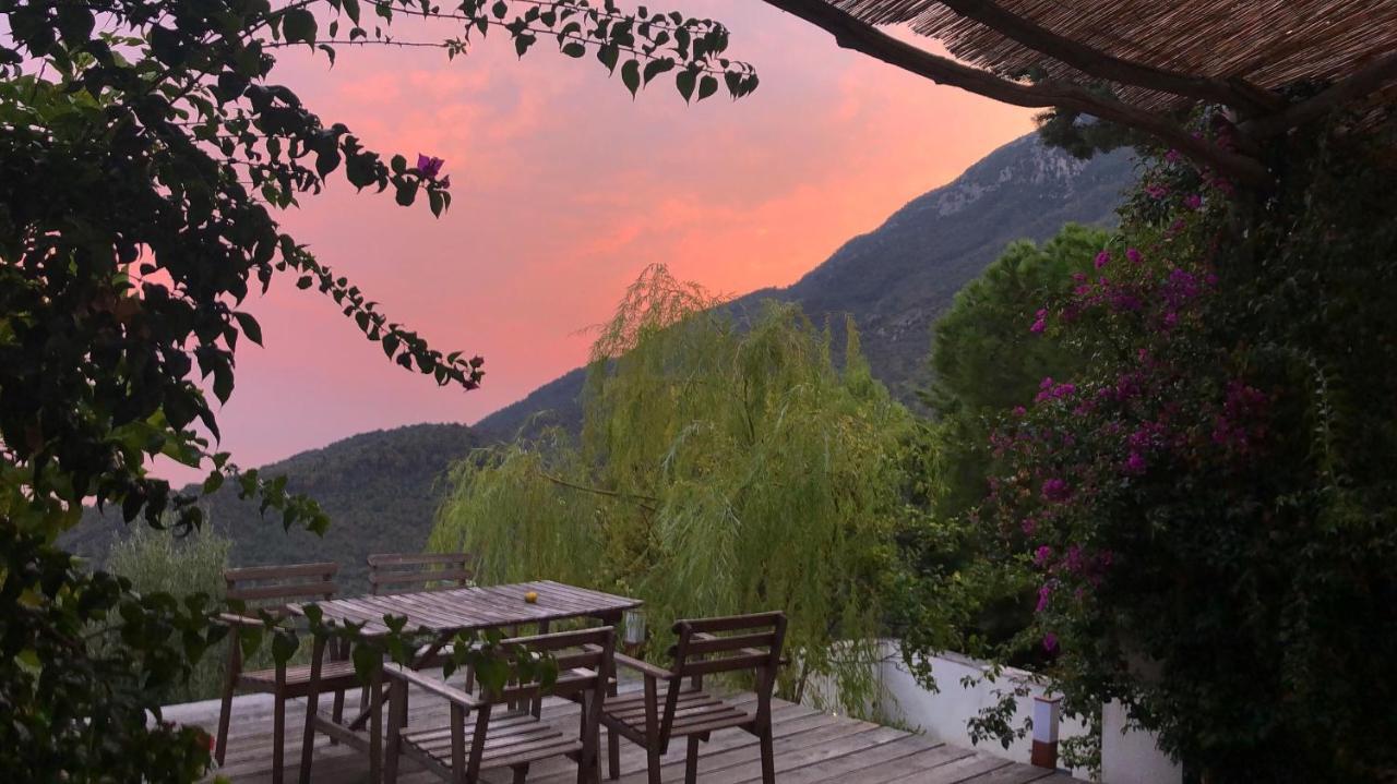 Vietri Casa Flora Bed & Breakfast エクステリア 写真