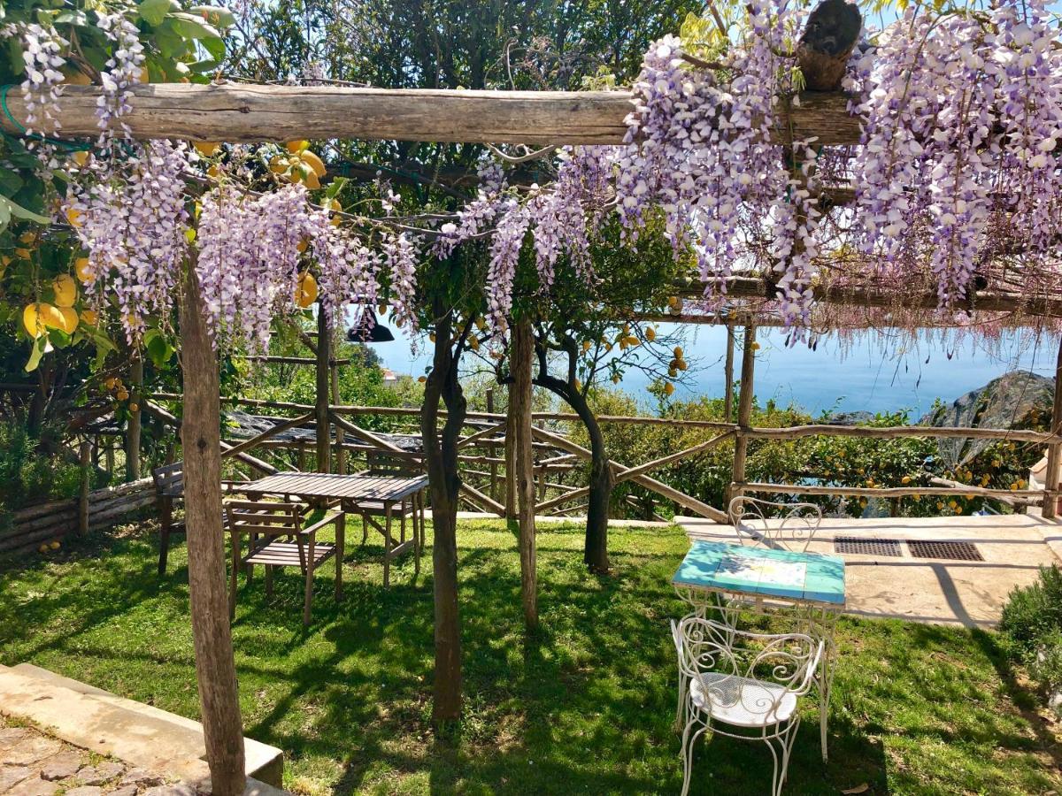Vietri Casa Flora Bed & Breakfast エクステリア 写真