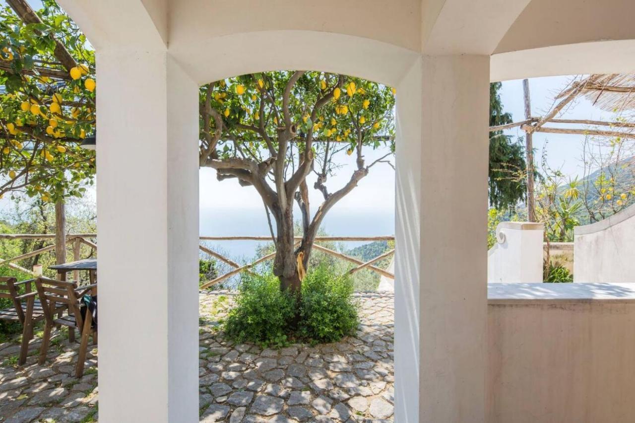 Vietri Casa Flora Bed & Breakfast エクステリア 写真