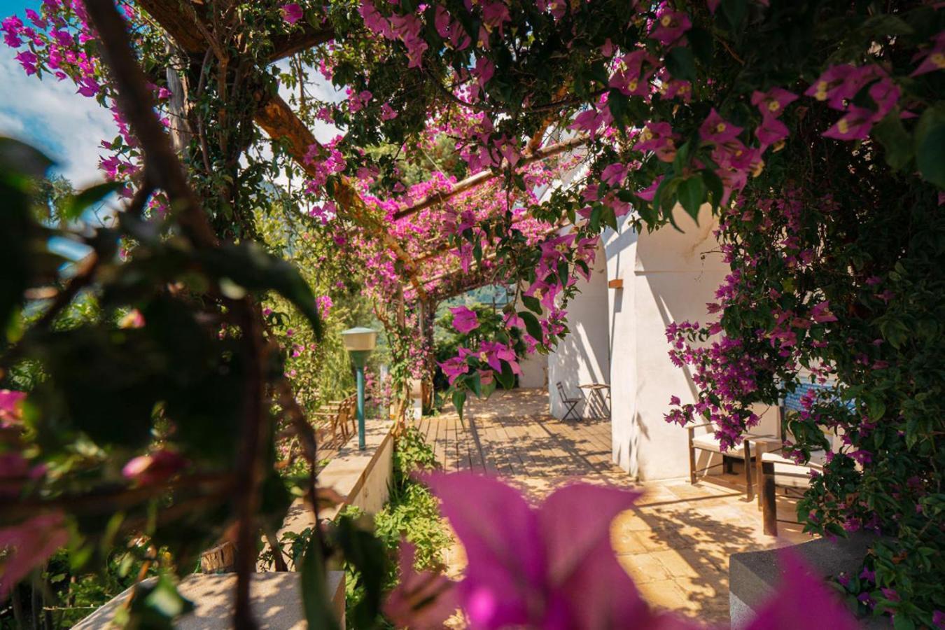 Vietri Casa Flora Bed & Breakfast エクステリア 写真